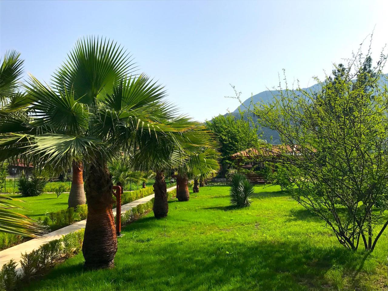 Nerissa Hotel Cirali Exterior photo