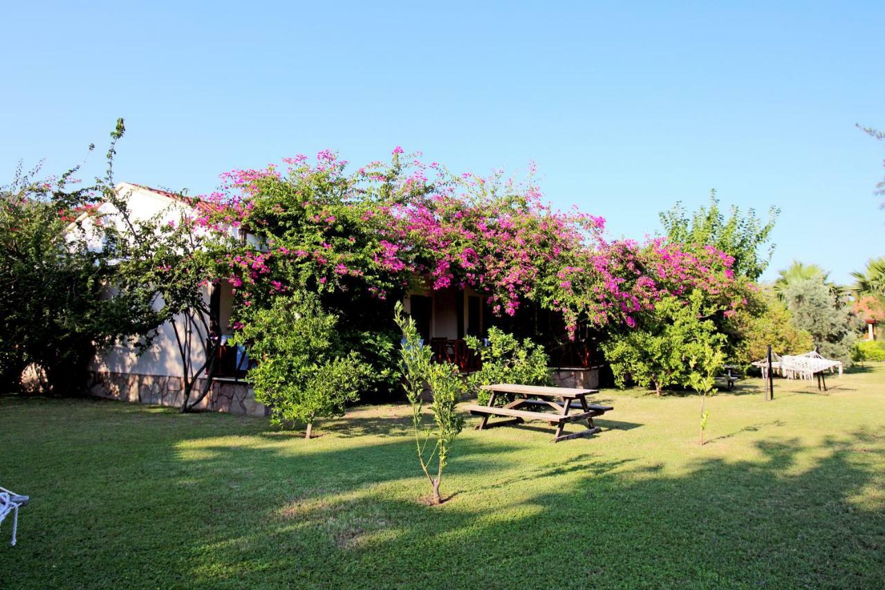 Nerissa Hotel Cirali Exterior photo
