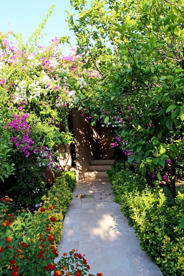 Nerissa Hotel Cirali Exterior photo