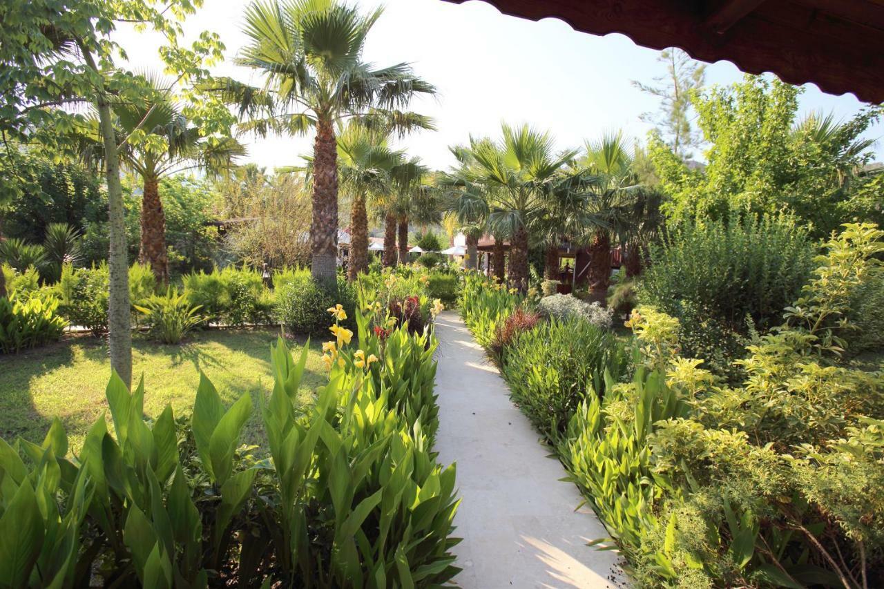 Nerissa Hotel Cirali Exterior photo